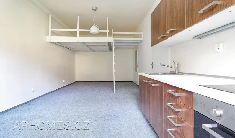 Pronájem bytu 1+kk, Praha - Nusle, U čtyř domů, 31 m2