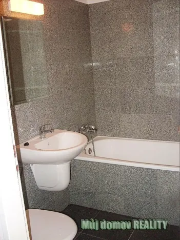 Pronájem bytu 1+kk, Praha - Vysočany, Freyova, 45 m2