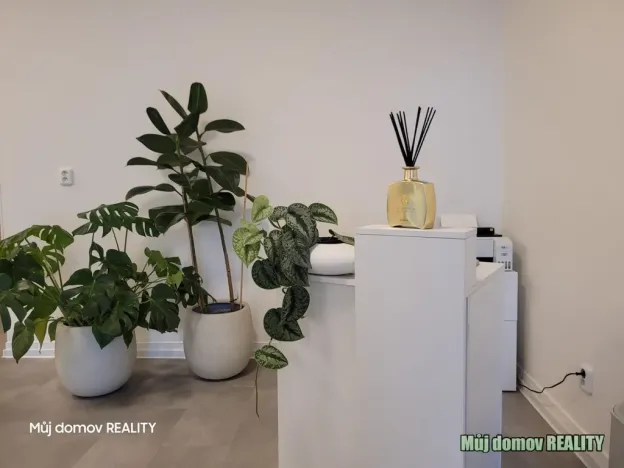 Pronájem obchodního prostoru, Praha - Vysočany, Freyova, 57 m2