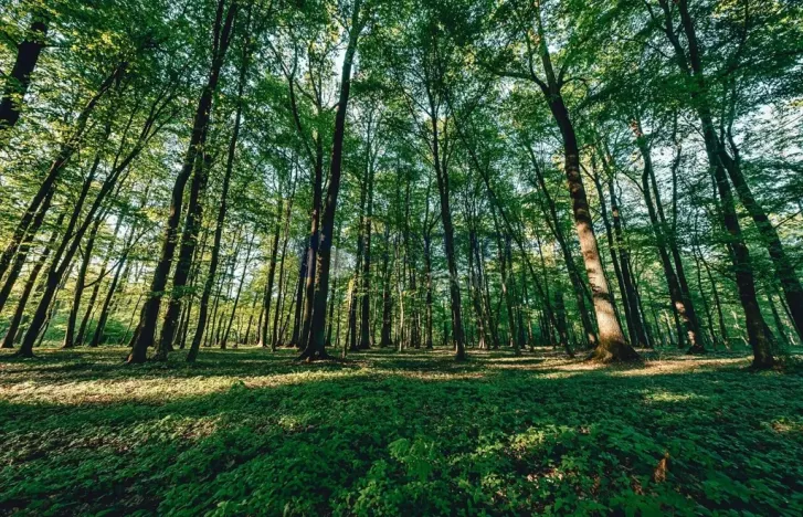 Pronájem rodinného domu, Praha, Klešická, 140 m2