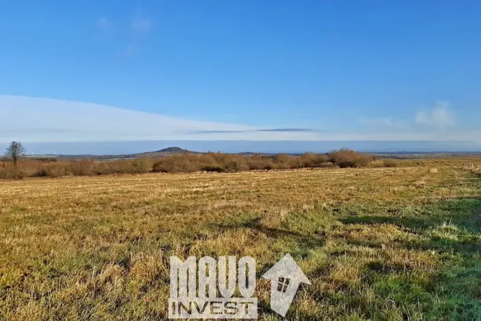 Prodej louky, Petrovice, 118619 m2