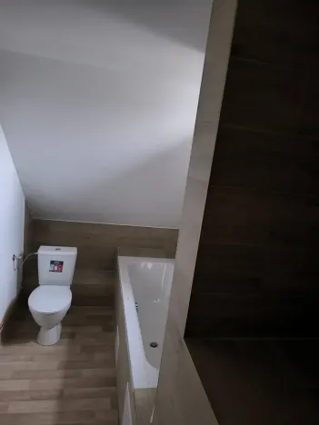 Prodej vícegeneračního domu, Běleč, Dukelská, 470 m2