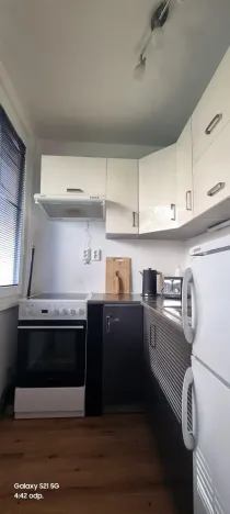 Pronájem bytu 1+kk, Pardubice - Polabiny, Brožíkova, 40 m2