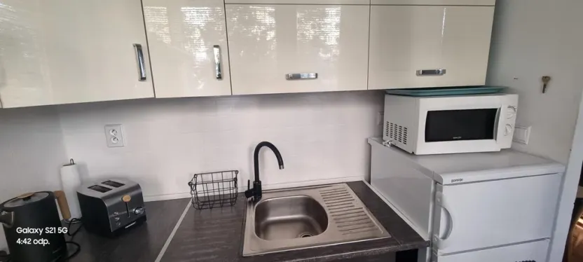 Pronájem bytu 1+kk, Pardubice - Polabiny, Brožíkova, 40 m2