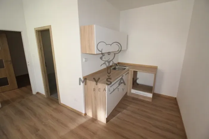 Pronájem bytu 1+1, České Budějovice - České Budějovice 3, Riegrova, 38 m2
