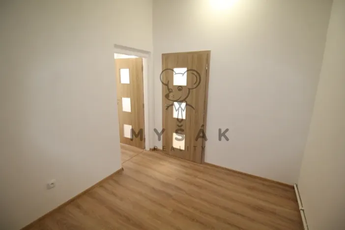 Pronájem bytu 1+1, České Budějovice - České Budějovice 3, Riegrova, 38 m2
