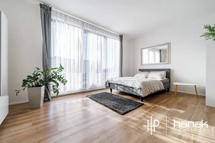 Pronájem bytu 1+kk, Olomouc, Dlouhá, 50 m2