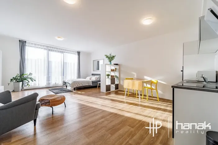 Pronájem bytu 1+kk, Olomouc, Dlouhá, 50 m2