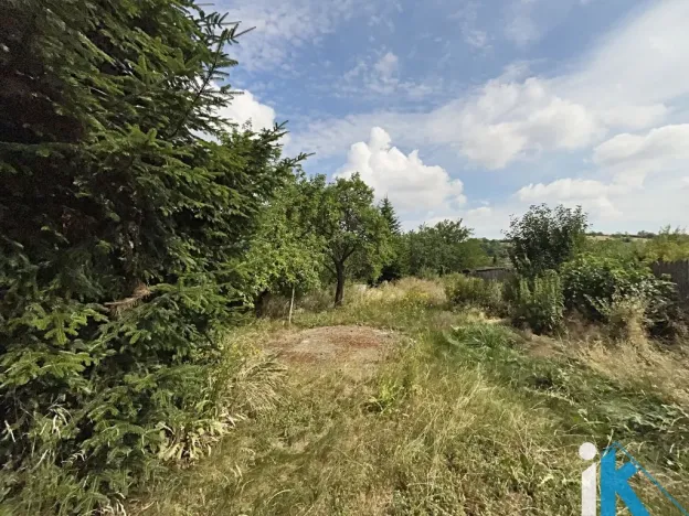 Prodej chalupy, Dzbel, 60 m2