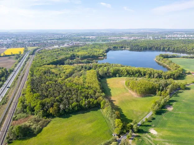 Prodej lesa, Srch - Pohránov, 12208 m2