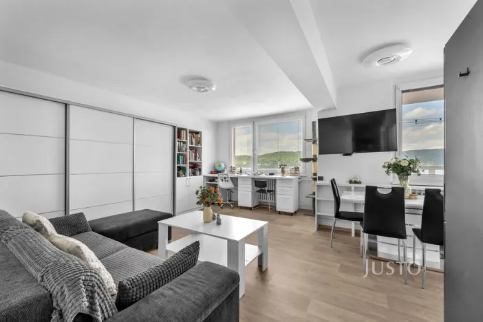 Prodej bytu 1+kk, Týnec nad Sázavou, Okružní, 37 m2