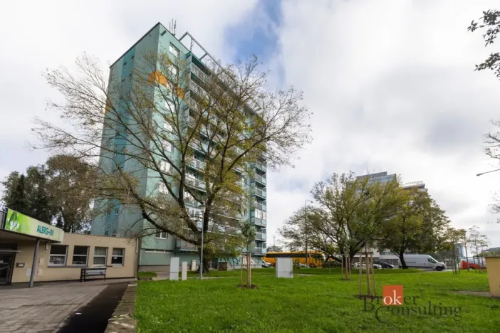 Pronájem bytu 2+1, Brno - Staré Brno, Křídlovická, 54 m2