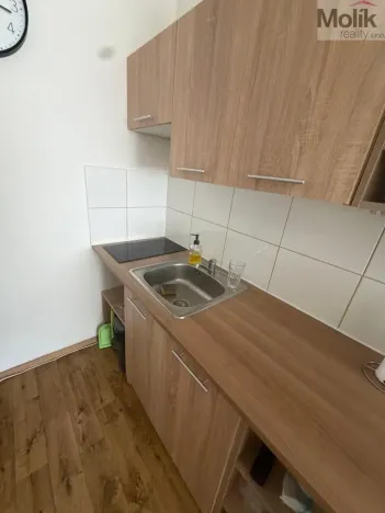 Prodej bytu 2+kk, Most, Františka Malíka, 39 m2