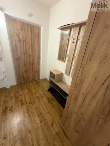 Prodej bytu 2+kk, Most, Františka Malíka, 39 m2