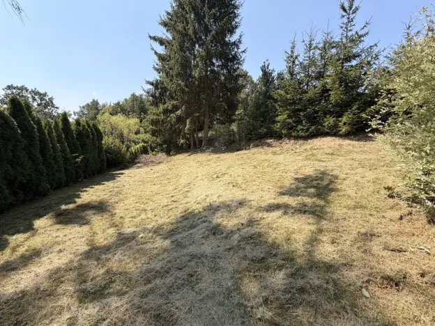 Prodej chaty, Zábřeh - Pivonín, 60 m2