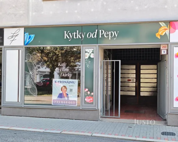 Pronájem obchodního prostoru, Zábřeh, náměstí Osvobození, 37 m2