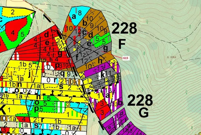 Dražba lesa, Rabí, 4478 m2