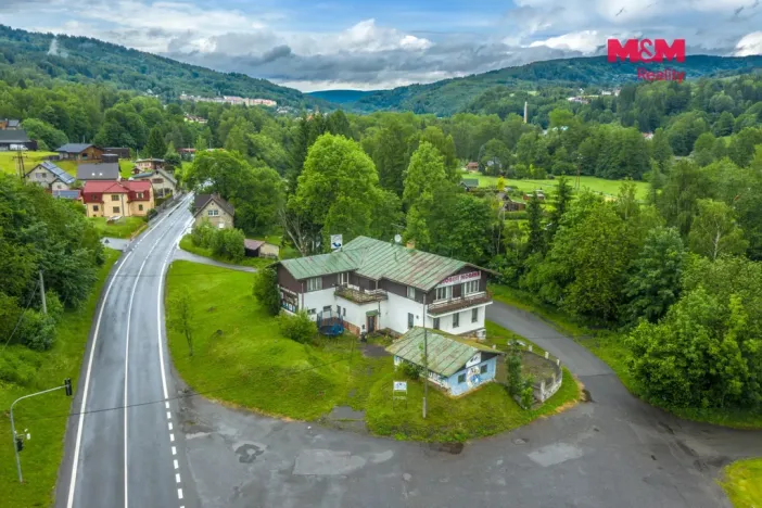 Prodej komerční nemovitosti, Plavy, 500 m2
