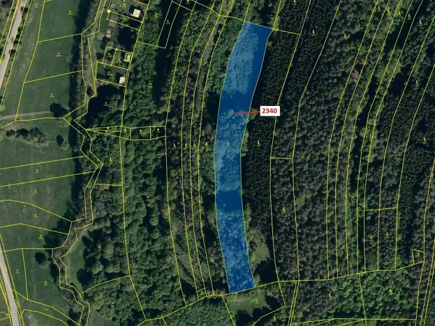 Dražba lesa, Ludkovice, 10351 m2