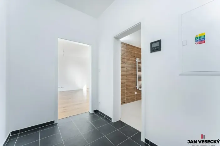 Prodej bytu 1+kk, Plzeň, Železná, 34 m2