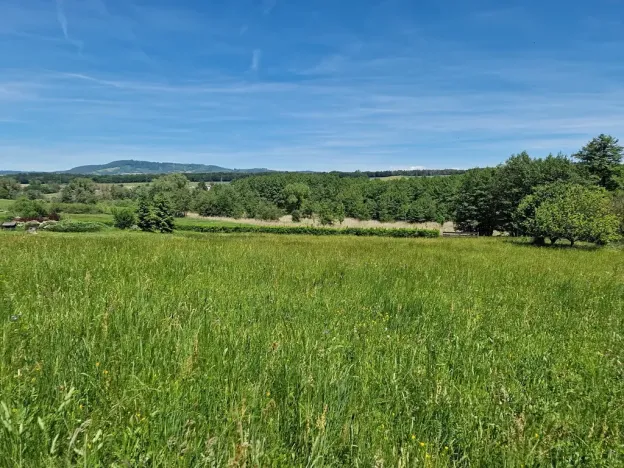 Prodej pozemku pro bydlení, Hrubá Skála, 2156 m2