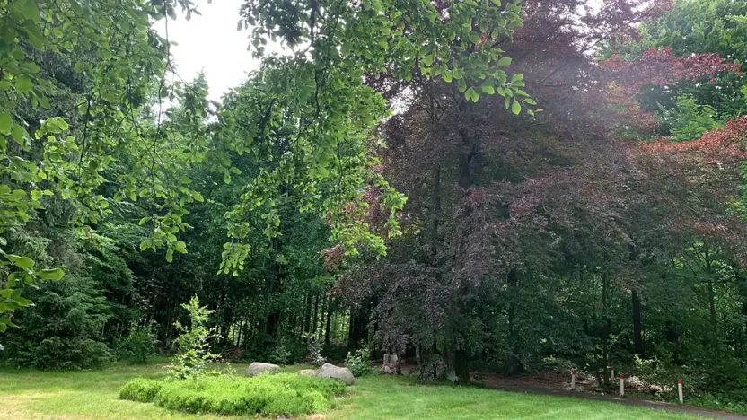 Prodej pozemku pro bydlení, Mařenice, 1610 m2
