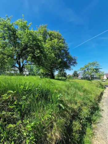 Prodej pozemku pro bydlení, Loučky, 773 m2