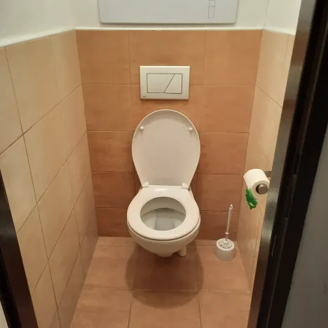 Pronájem pokoje, Mladá Boleslav, Jilemnického, 10 m2