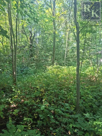Prodej rodinného domu, Kozlovice, 75 m2