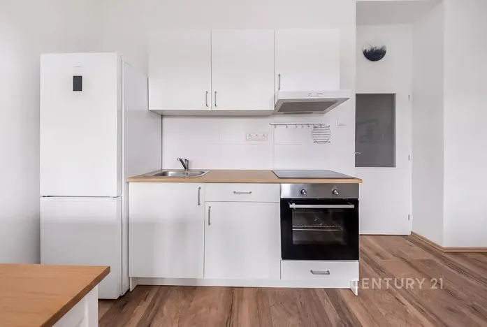 Pronájem bytu 2+kk, Praha - Nusle, K podjezdu, 55 m2