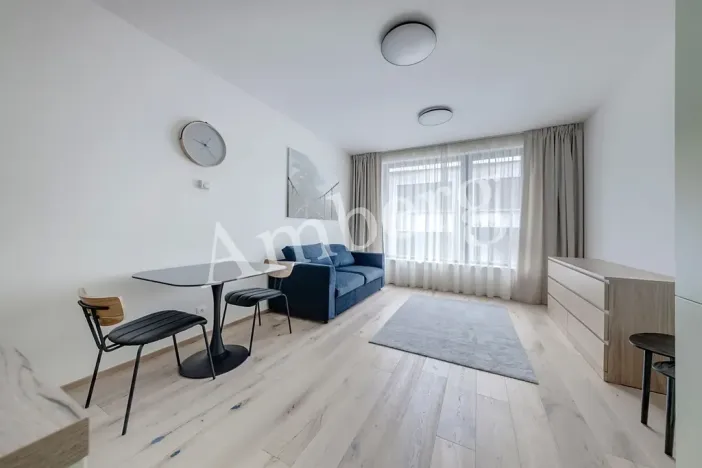 Pronájem bytu 1+kk, Praha - Karlín, Sokolovská, 28 m2