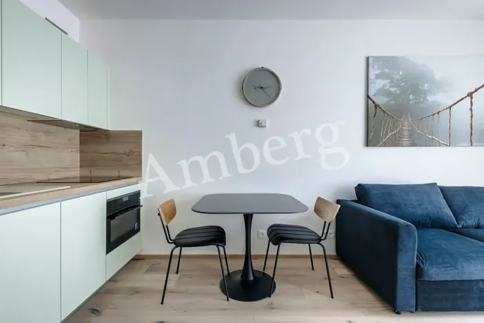 Pronájem bytu 1+kk, Praha - Karlín, Sokolovská, 28 m2