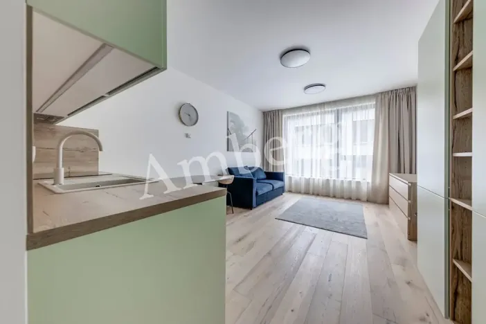Pronájem bytu 1+kk, Praha - Karlín, Sokolovská, 28 m2