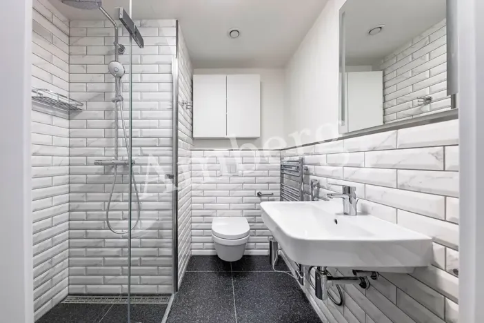 Pronájem bytu 1+kk, Praha - Karlín, Sokolovská, 28 m2