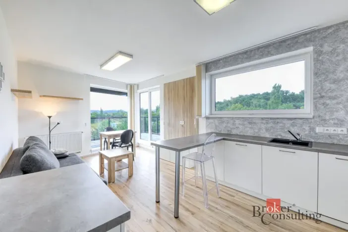 Pronájem bytu 2+kk, Plzeň - Severní Předměstí, Pod Všemi svatými, 74 m2