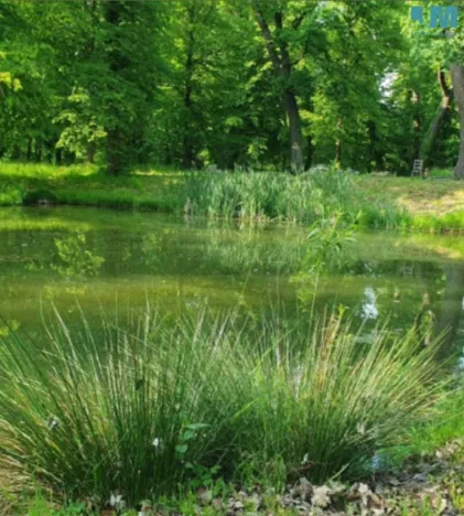 Prodej bytu 3+kk, Býchory, 112 m2