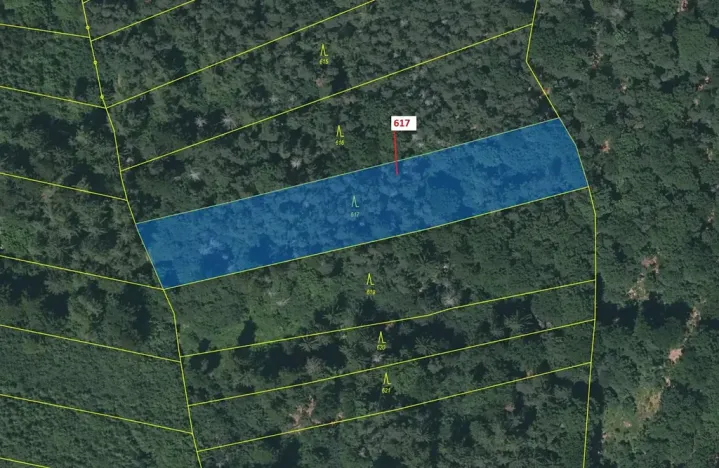 Dražba lesa, Rabí, 4280 m2