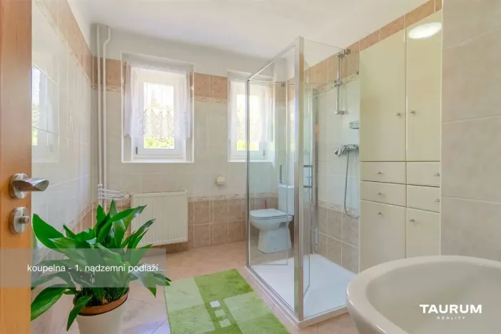 Prodej rodinného domu, Nepomuk, Na Vinici II., 311 m2