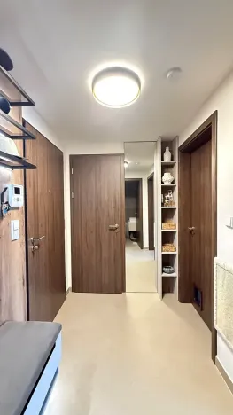 Prodej bytu 2+kk, Praha - Holešovice, U Pergamenky, 56 m2