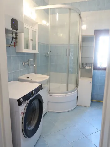 Pronájem rodinného domu, Brandýsek - Olšany, Olšanská I, 100 m2