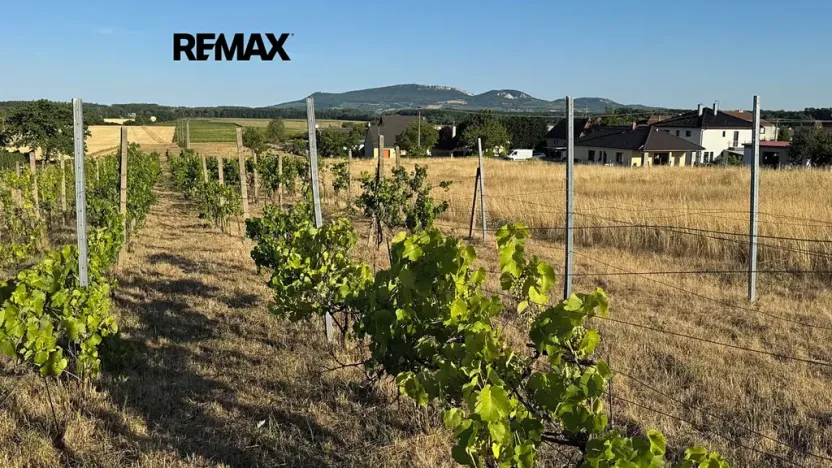 Prodej pozemku pro bydlení, Ivaň, 6921 m2