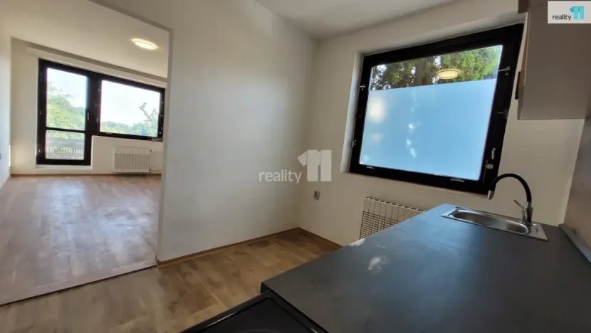 Pronájem bytu 1+1, Týnec nad Labem, Lžovická, 32 m2