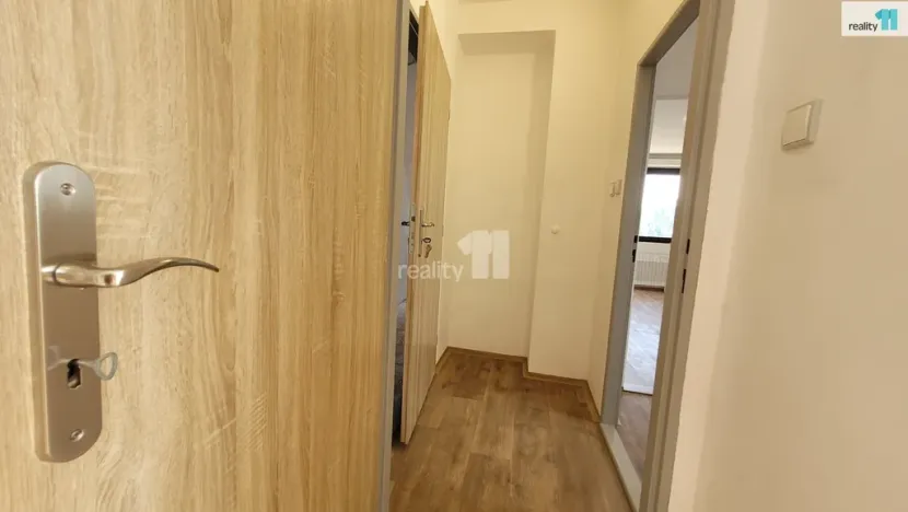 Pronájem bytu 1+1, Týnec nad Labem, Lžovická, 32 m2