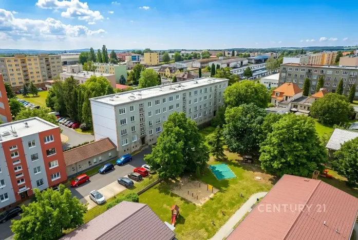 Prodej bytu 3+1, Podbořany, Alšova, 67 m2