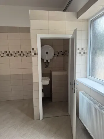 Pronájem skladu, Ostrov, 150 m2