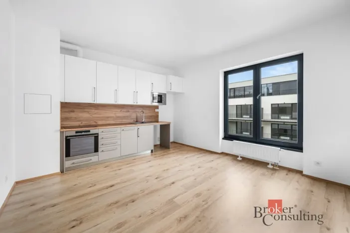 Pronájem bytu 1+kk, Plzeň - Jižní Předměstí, Železná, 26 m2