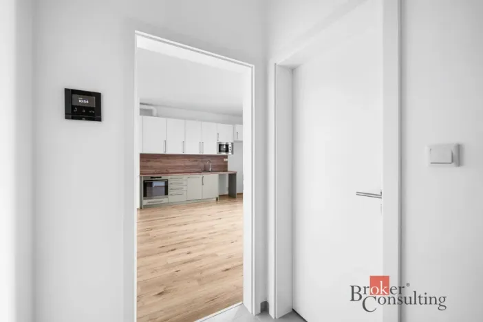 Pronájem bytu 1+kk, Plzeň - Jižní Předměstí, Železná, 26 m2