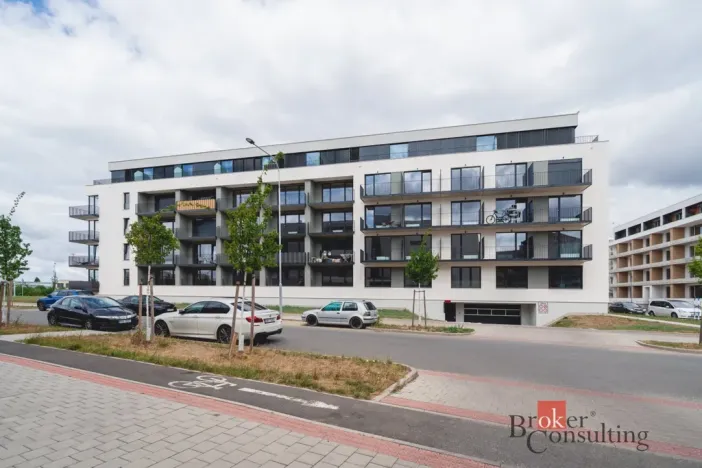 Pronájem bytu 1+kk, Plzeň - Jižní Předměstí, Železná, 26 m2
