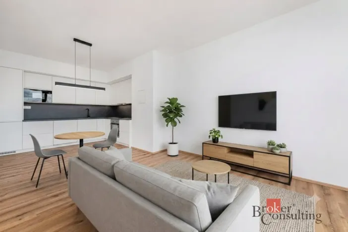 Pronájem bytu 2+kk, Plzeň - Jižní Předměstí, Železná, 66 m2