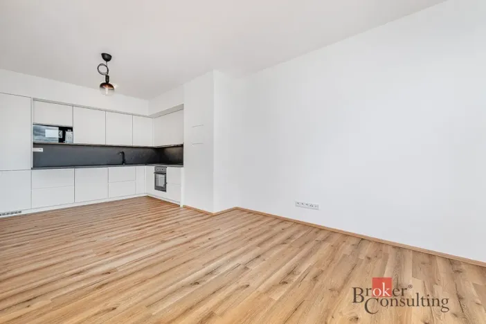 Pronájem bytu 2+kk, Plzeň - Jižní Předměstí, Železná, 66 m2